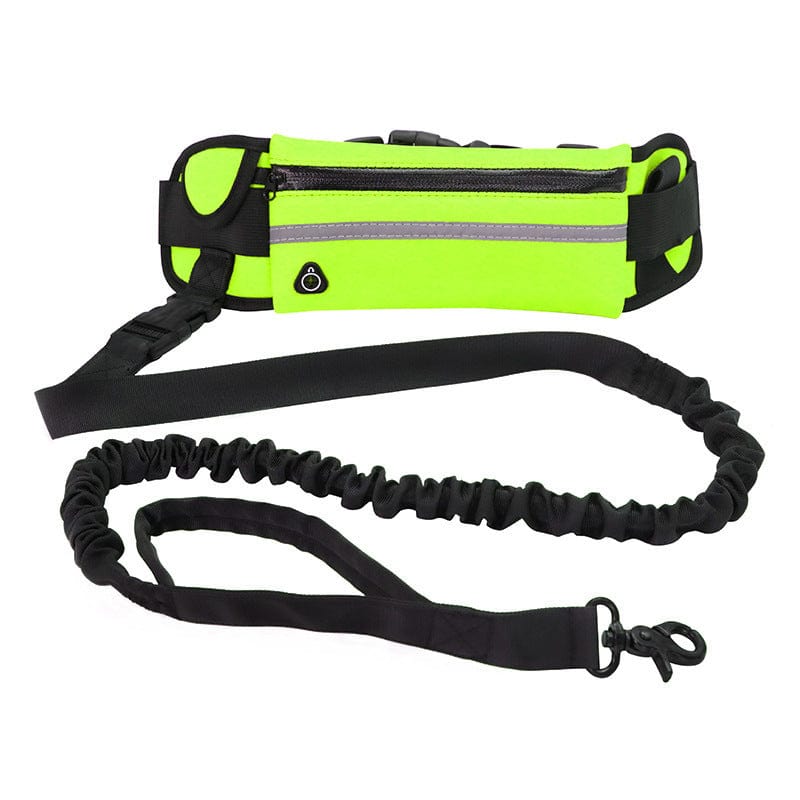 Laisse pour chien, ceinture de promenade et de dressage pour animaux de compagnie
