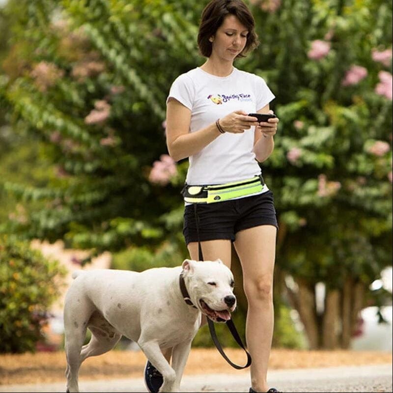 Dog Leash Pet Walking And Training Belt-Pet Collars