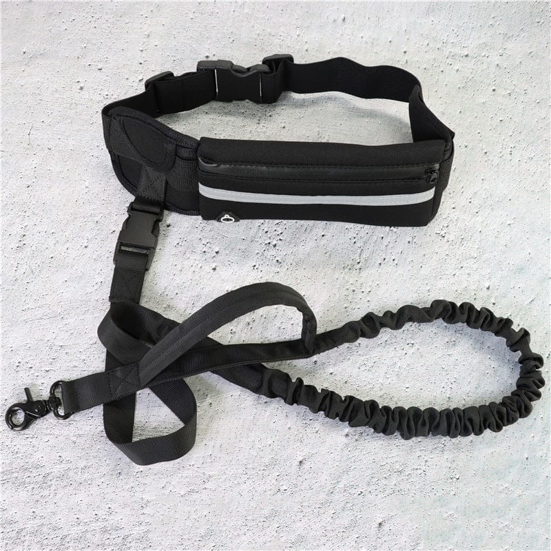 Laisse pour chien, ceinture de promenade et de dressage pour animaux de compagnie