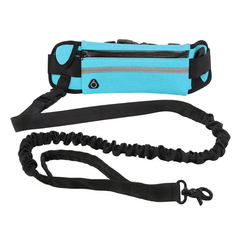 Laisse pour chien, ceinture de promenade et de dressage pour animaux de compagnie