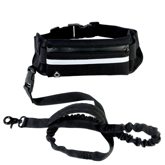 Dog Leash Pet Walking And Training Belt