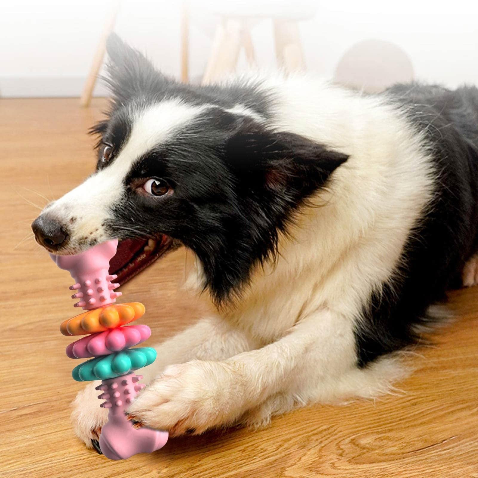 Jouets de nettoyage des dents pour chiens de type os