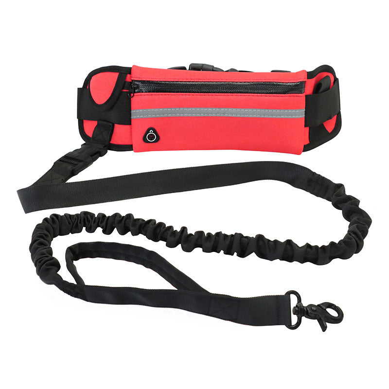 Laisse pour chien, ceinture de promenade et de dressage pour animaux de compagnie